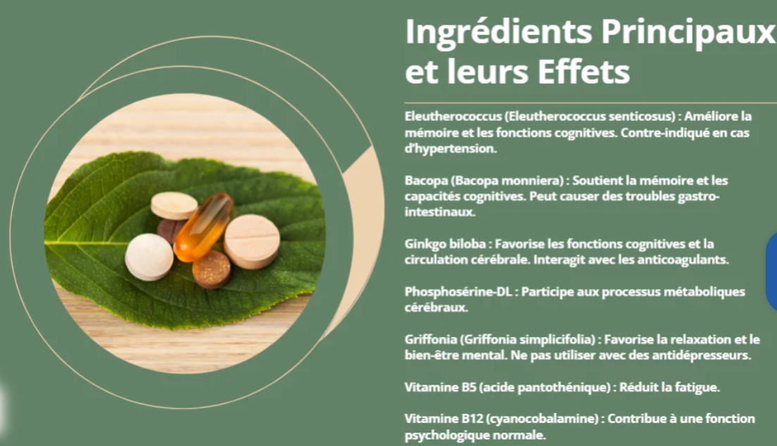 MYBRAIN-Mémoire & concentration |30 stick-pack de 10 ml