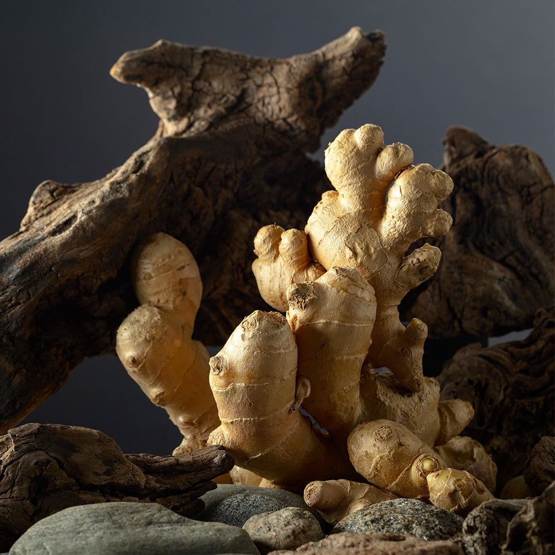 Divine Aura - Parfum Femme 148